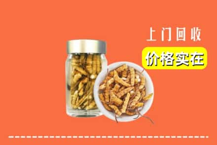 收购资讯:菏泽市定陶回收散虫草
