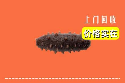 收购资讯:菏泽市定陶回收海参