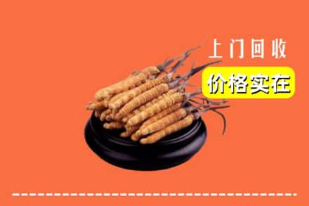 菏泽市定陶回收冬虫夏草