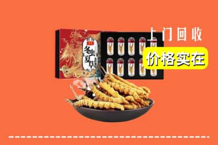 菏泽市定陶回收虫草